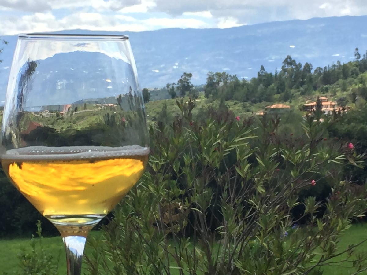 A glass of golden wine is set against a blurred landscape of rolling hills and greenery. The backdrop features a tranquil scene with distant mountains and occasional buildings peeking through the foliage, inviting moments of relaxation in nature.