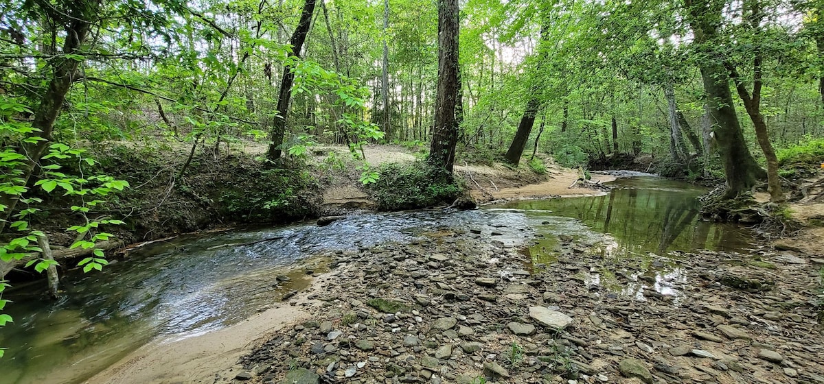 A serene landscape features a gently flowing creek bordered by lush green trees. Smooth stones and sandy areas line the water's edge, blending with the natural surroundings. Sunlight filters through the leaves, creating a peaceful atmosphere in this tranquil environment.
