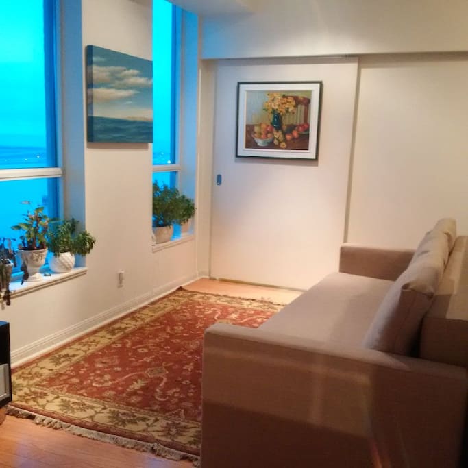 Living room with a cozy Queen size sofa bed that sleeps 2