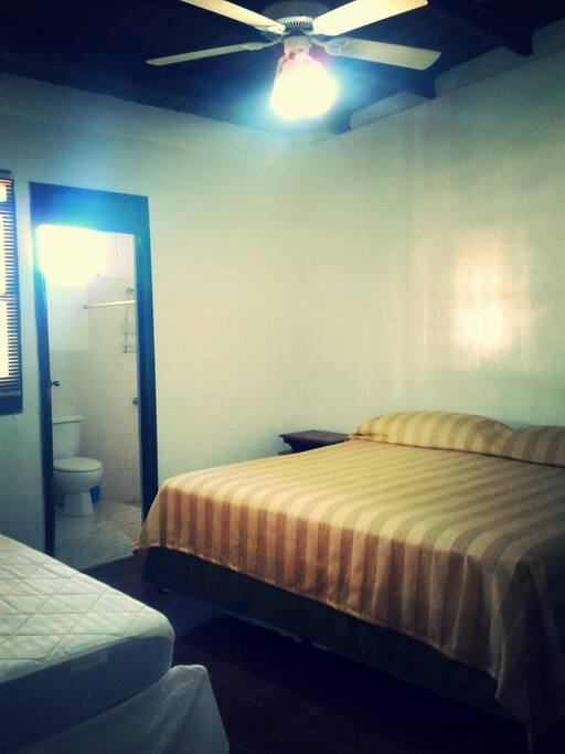 1 King Bed