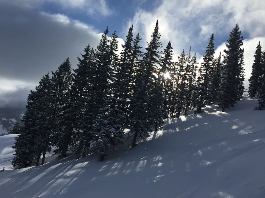 January powder day at Solitude Mountain Resort
