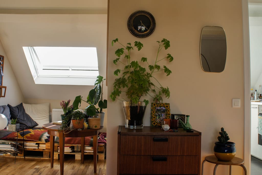 Living room and the kitchen.