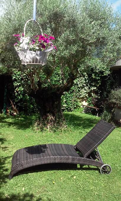 Garden relax