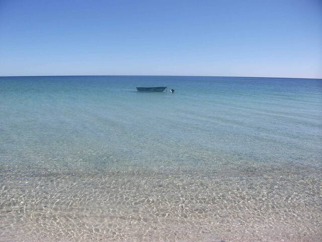 Busselton. Kshells beach at your door step. gallery image 2
