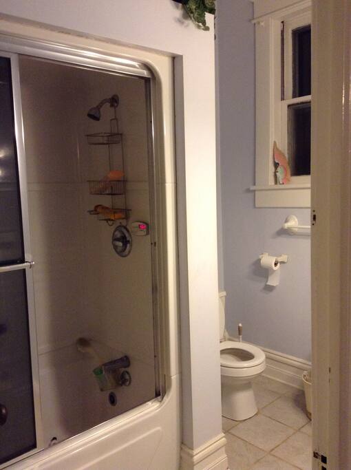 Bathtub with jacuzzi and steam