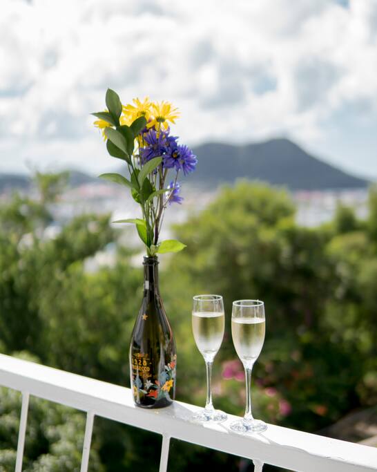 Our vista is as stunning and breathtaking as the rest of Saint Lucia