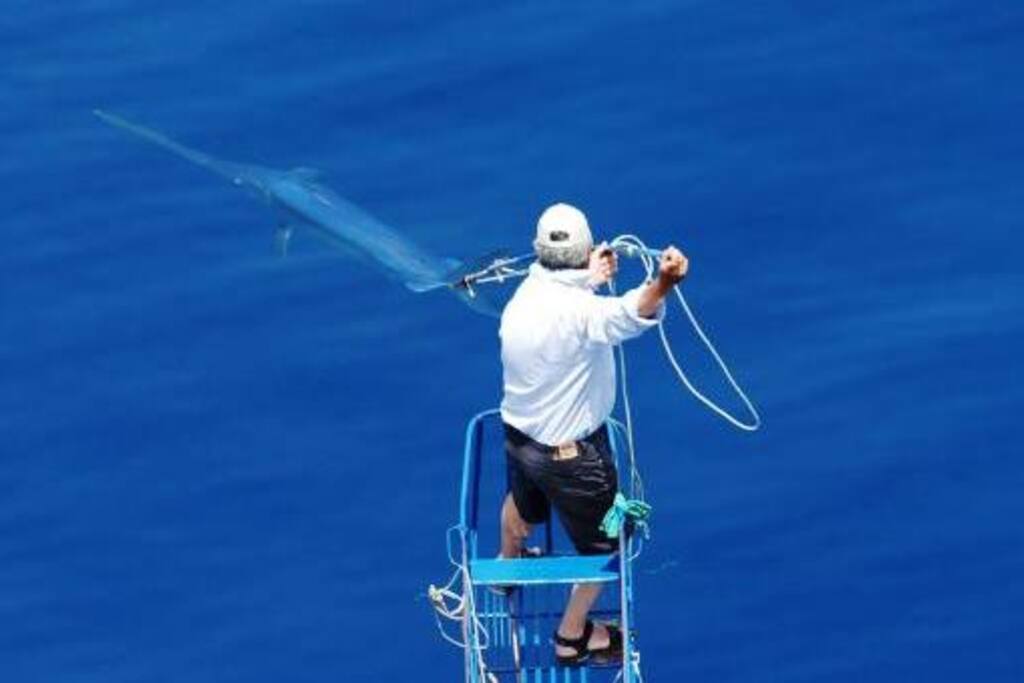 giornata a bordo delle feluche a pescespada