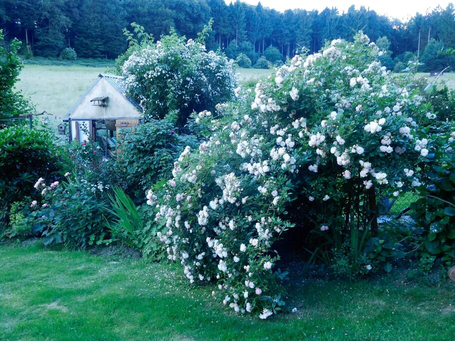 Rosengarten
