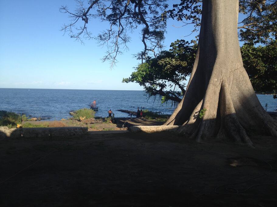 view from patio. lake is calm