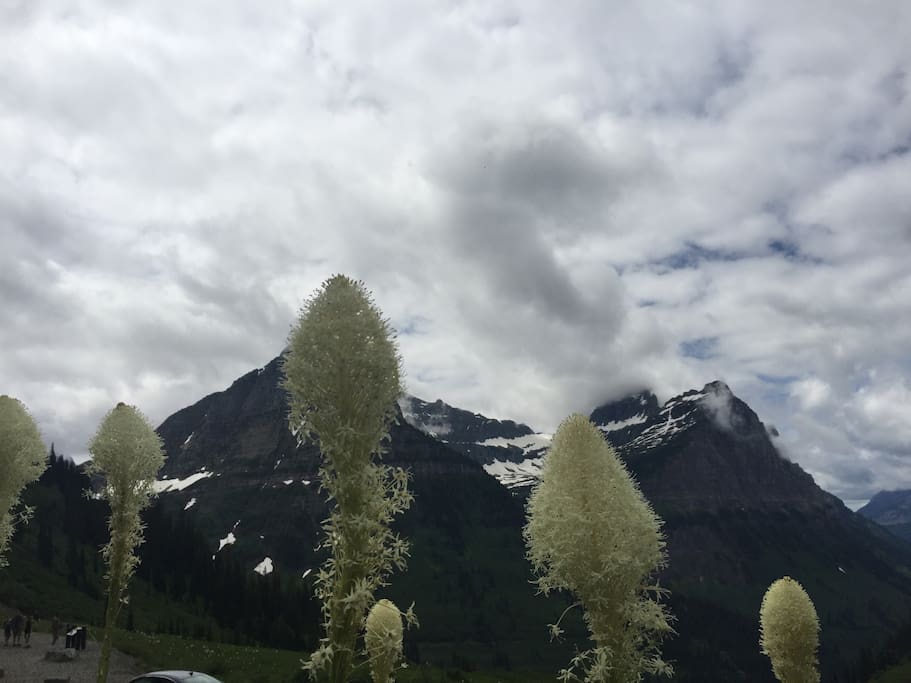 Just 35 minutes to Glacier National Park!