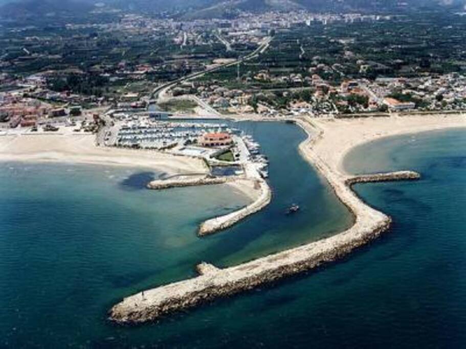 Oliva Marina