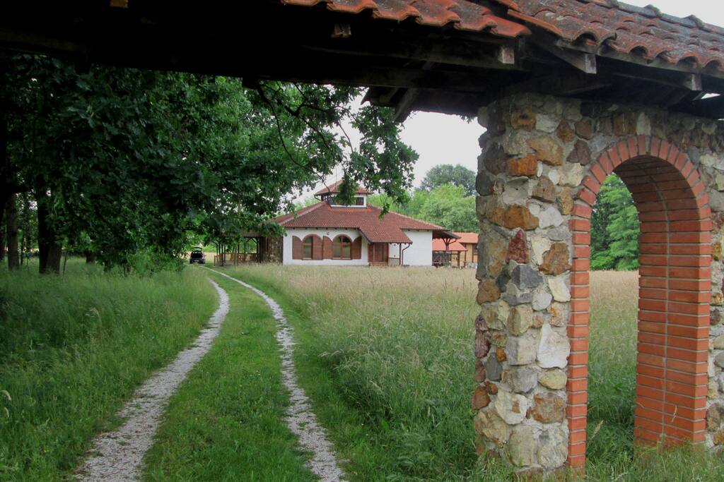 The house is surrounded by meadows and big park (small forest) on the west side, within the yard. The gate and main entrance is on the south side, overlooking the hills.