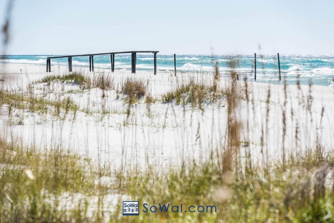 A wooden pier extends over soft, sandy dunes where sea oats sway gently in the breeze. The turquoise waves roll in, meeting the shore under a clear blue sky, creating a serene coastal atmosphere.
