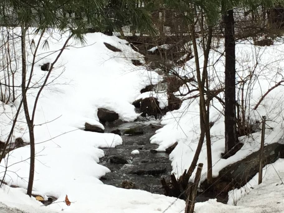 Winter Creek