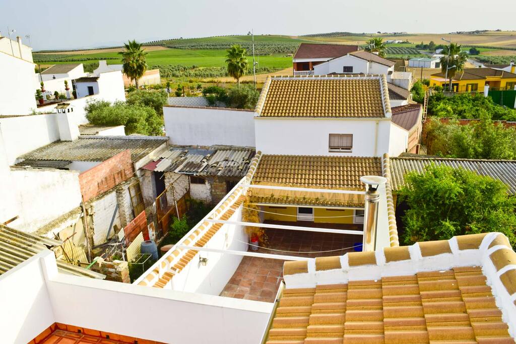 Vistas desde el tejado