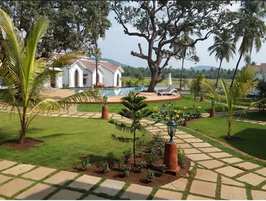 Garden around pool