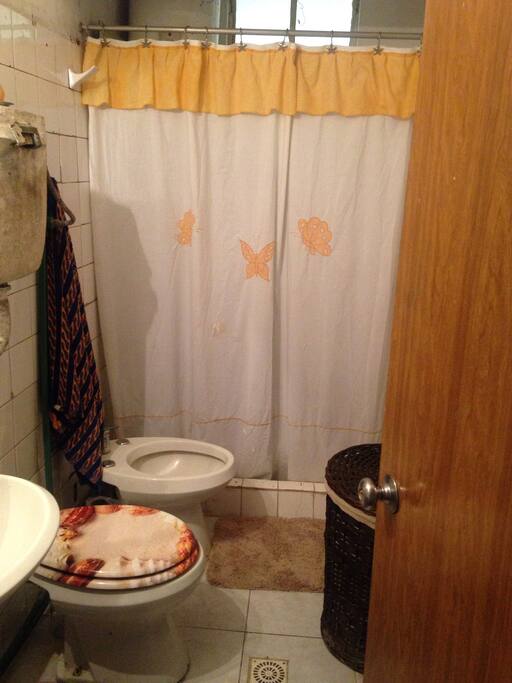 Baño con ducha, secador de pelo, planchita.