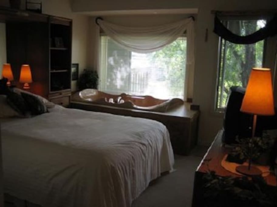 Master bedroom with Jacuzzi tub