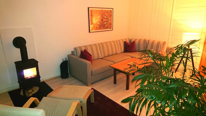 Living room with spacious sofa bed and fireplace.