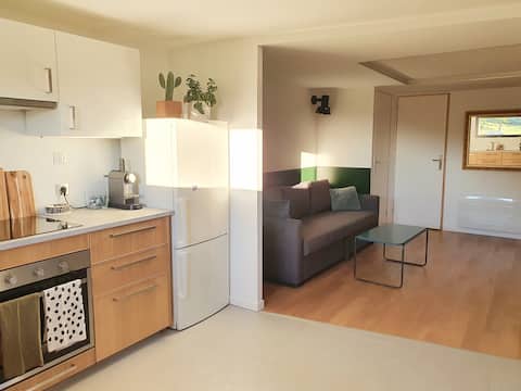 Propriété Airbnb réussie: Spacious two-room apartment between lake and mountain à Talloires Montmin