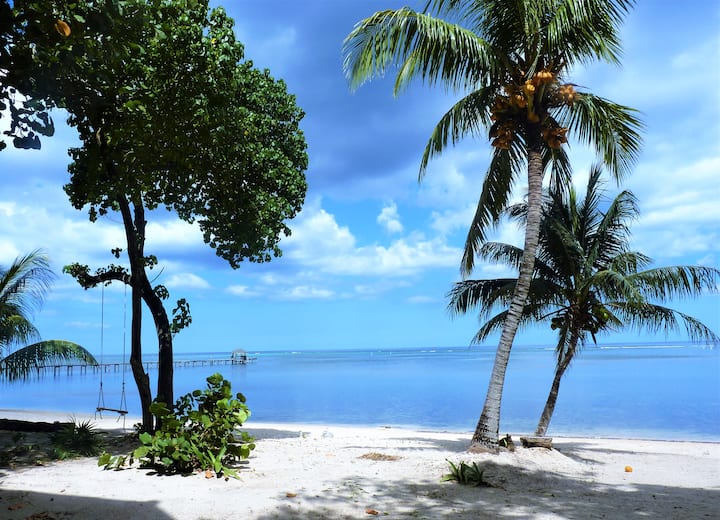 Beachfront Seadancer #2 Wheelchair Accessible - Roatán