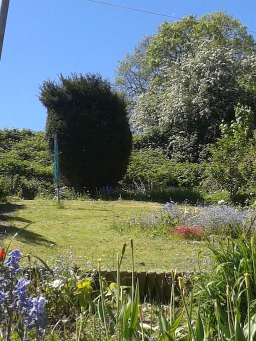 View of the garden from the window