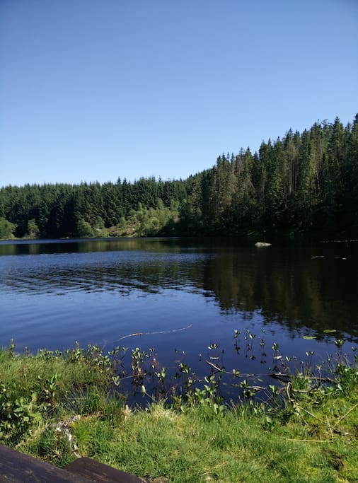 Many hiking opportunities in the area