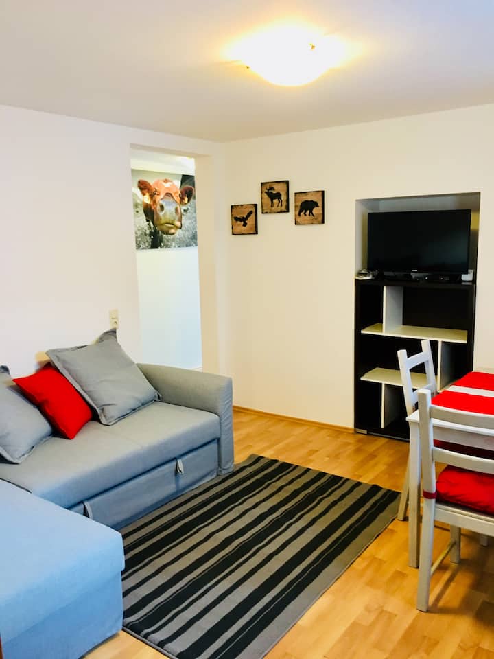 Apartment Walesi, 70 M2, Seenähe, Summer Card🚠🏔🇦🇹 - Zell am See