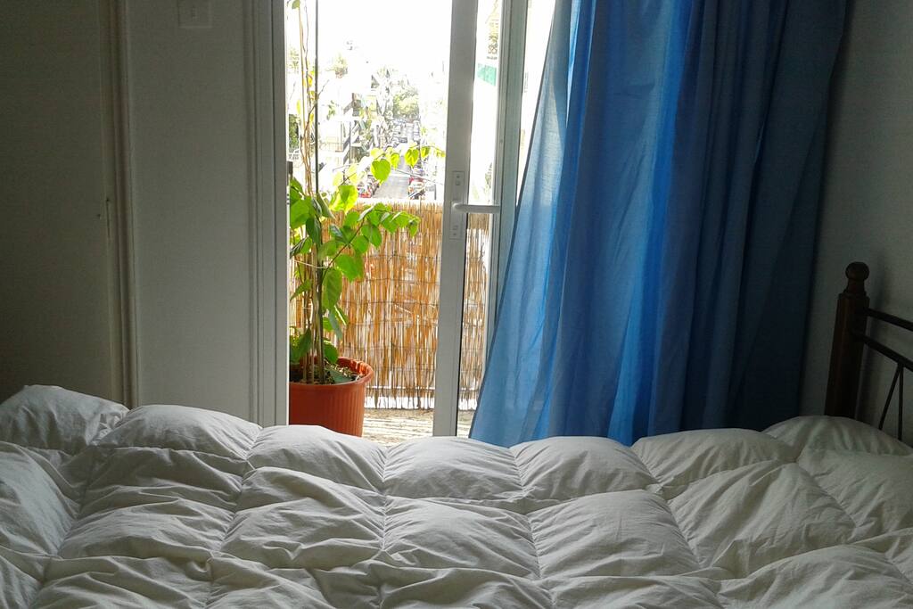 the room