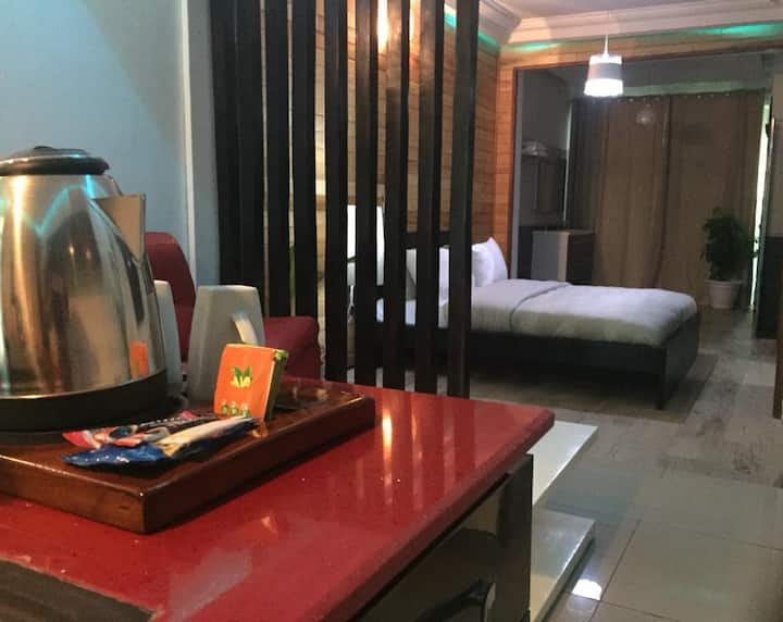 Standing Open Suite 103 Serviced apartments for Rent in Abidjan