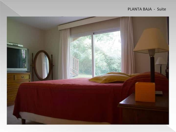 Quarto 1