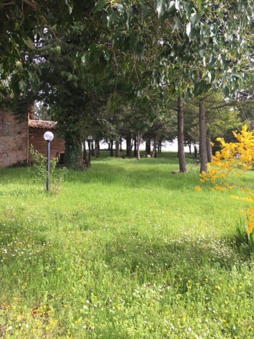 parco della casa, a disposizione