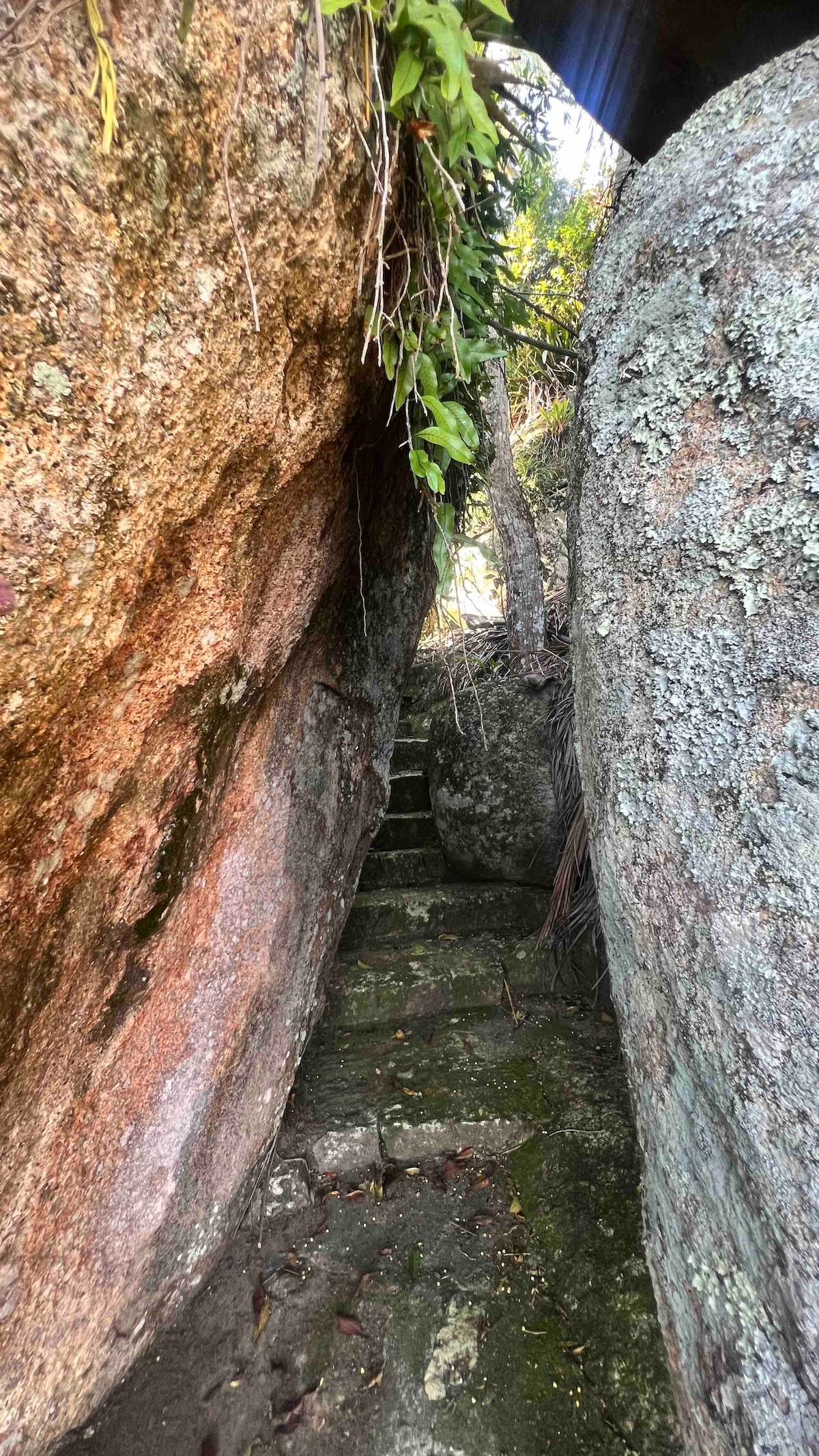 A narrow pathway is framed by two large rock formations, leading upward. The uneven stone steps are partially obscured by moss and greenery, providing a natural feel. Sunlight filters through the foliage above, casting soft light along the stones.