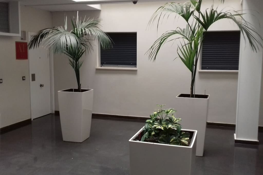 Patio interior