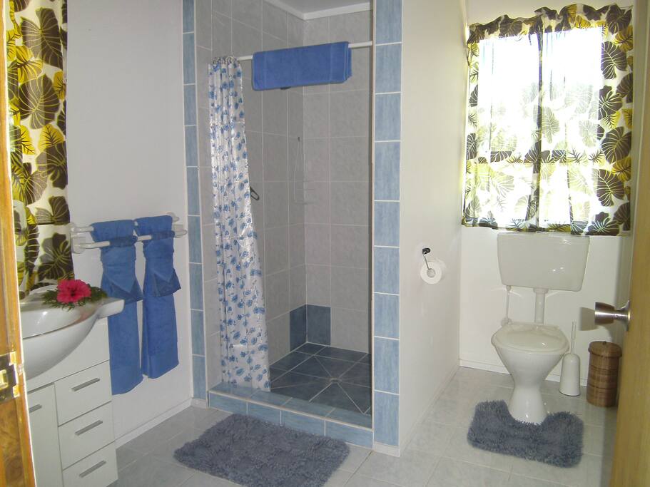 Take a hot or cold shower with excellent water pressure
