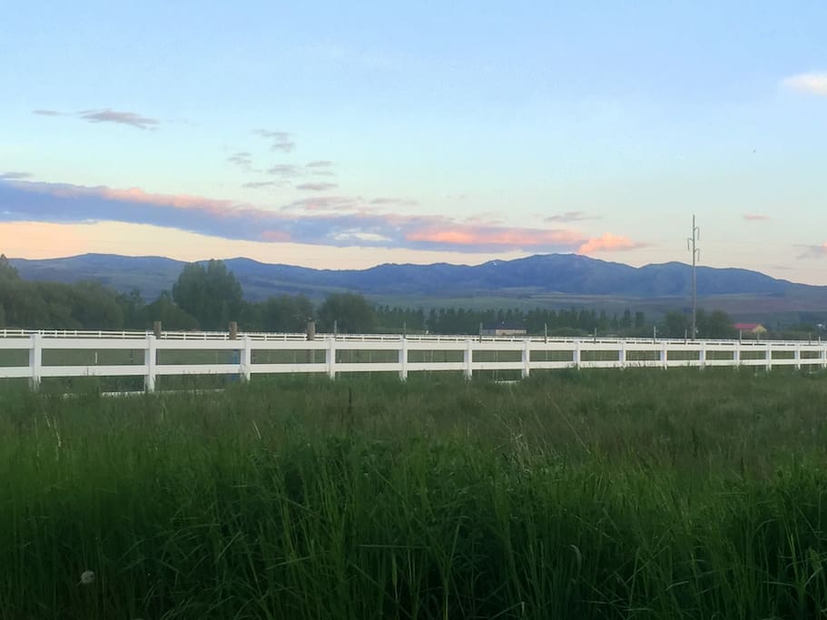 1d323a7a 02de 44cd 93a8 3ab3feeea590