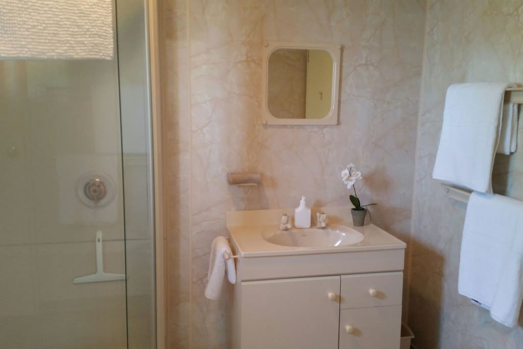 Retro Ensuite. Clean and functional