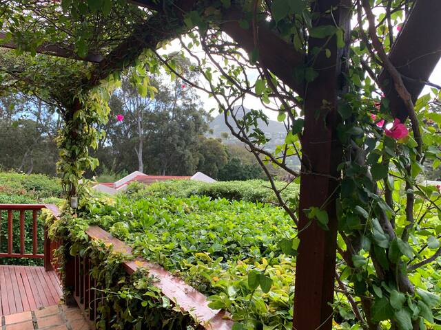 Beautiful holiday house in Hout Bay gallery image 5