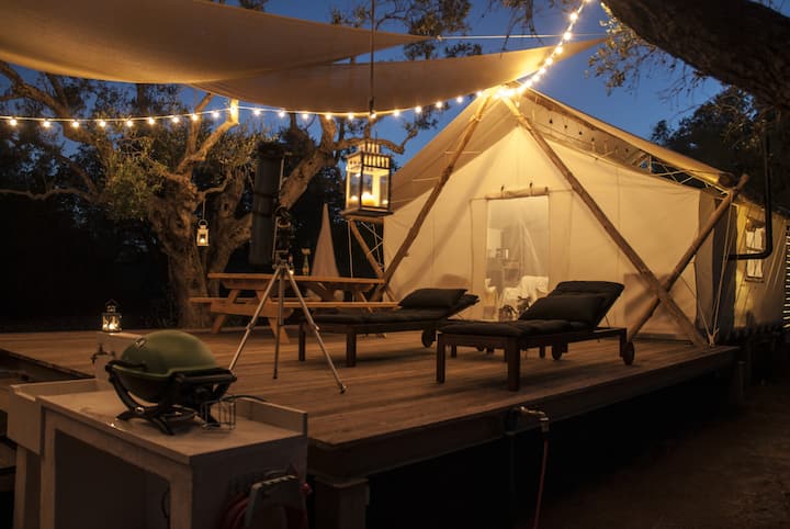 Tenda da campeggio di lusso - Tende in affitto a Lizzanello, Puglia, Italy,  Italia - Airbnb