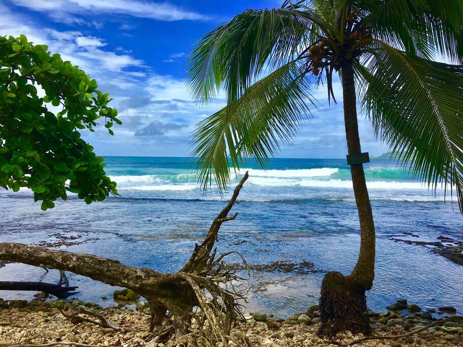 Crystal Clear Caribbean waters right at your doorstep