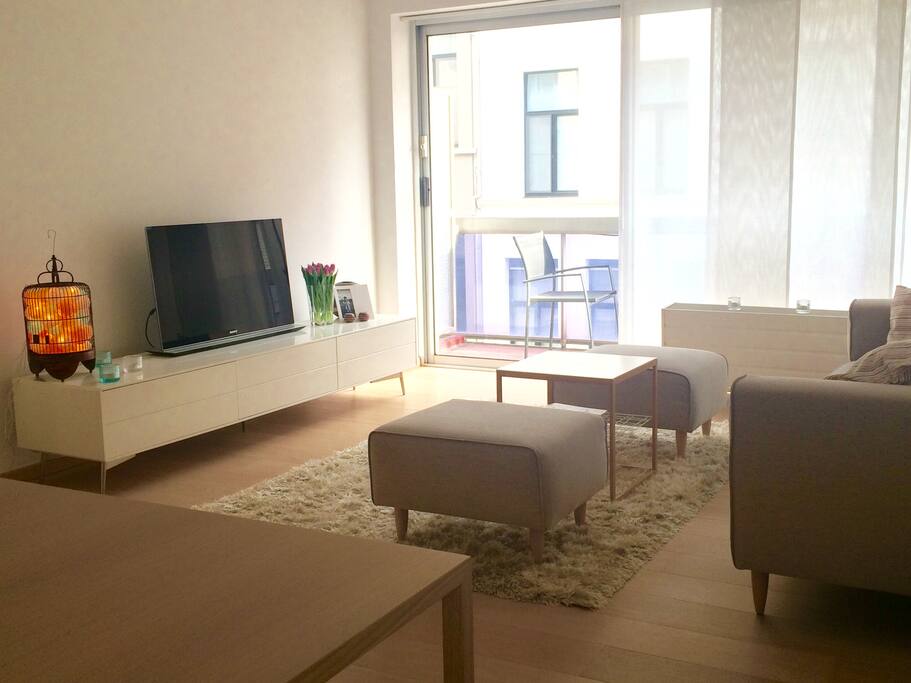 Living room, with access to the terrace from which you can see the Museum of Royal Arts.