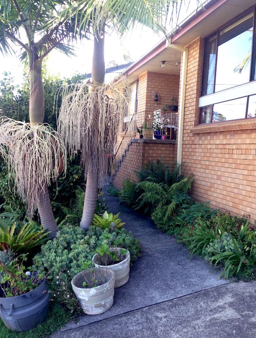 The front garden of my quaint house in Kiama