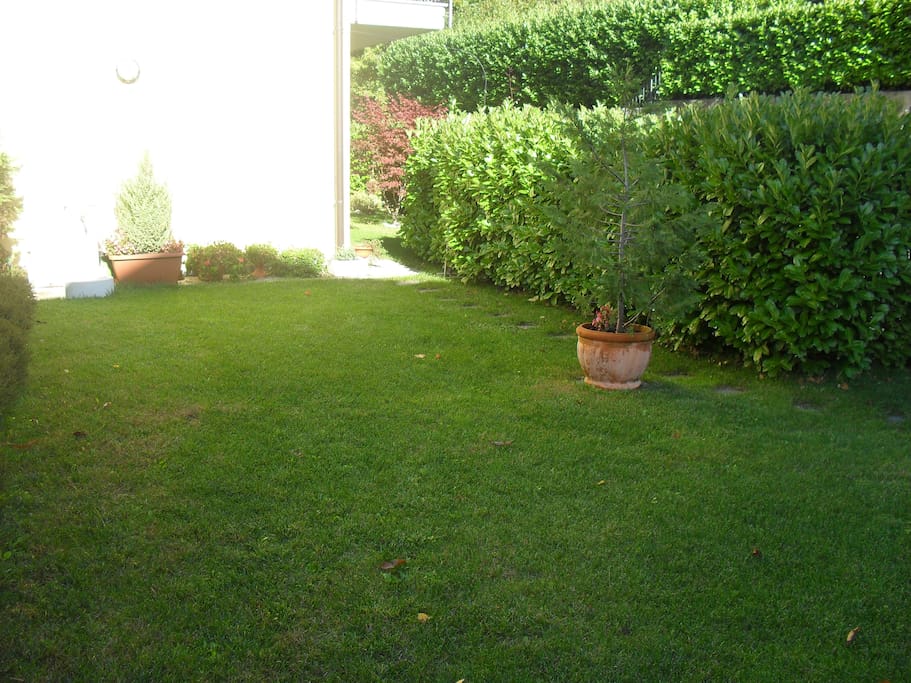 Giardino