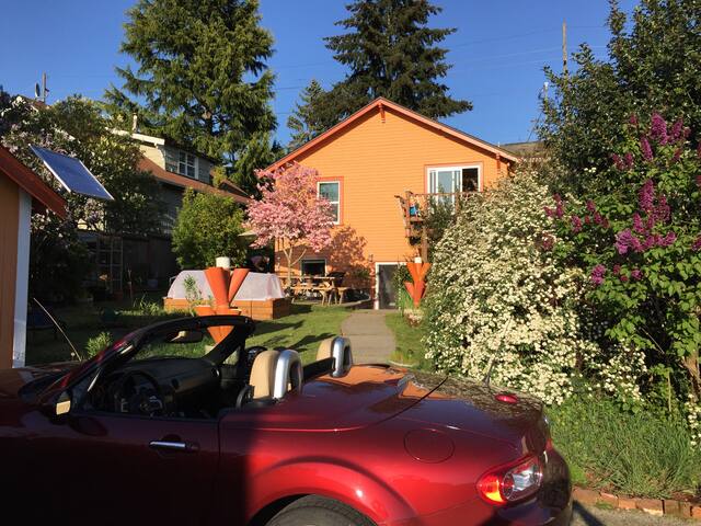 Charming Maple Leaf Garden-Level Apartment