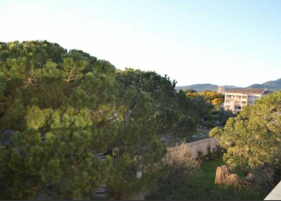 Vue de la loggia