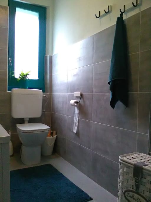 Main bathroom with a shower