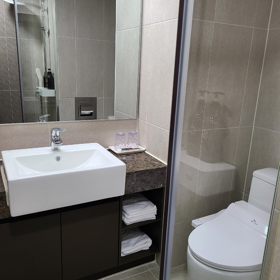 A modern bathroom features a stylish square sink atop a dark counter. Fresh towels are neatly arranged beneath, complemented by toiletries displayed on a tray. A large mirror enhances the sense of space, while the glass shower area is visible, showcasing contemporary tile work.