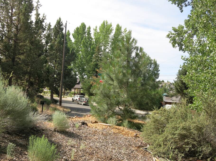 View from front deck