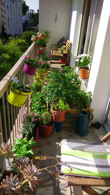 Mon jardin