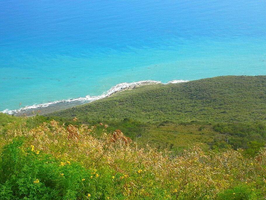 Only a short drive away from the famous Lovers Leap.